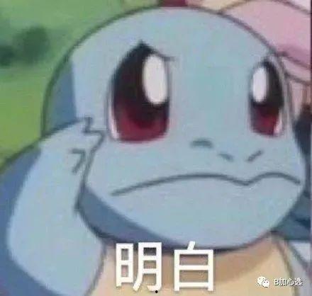 杰尼龟爆料视频,揭秘背后故事与幕后真相  第1张